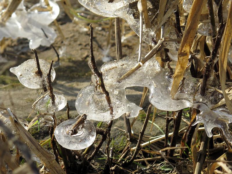 2012-02-01, Eisstrukturen (25).JPG